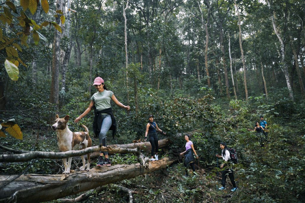 Trekking 
